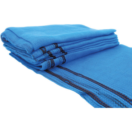 Filet d'échafaudage BLEU - 10.00 x 2.57 m