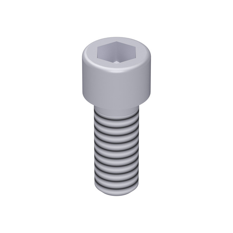 Vis à tête cylindrique M12 x 30 