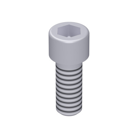 Vis à tête cylindrique M12 x 30 