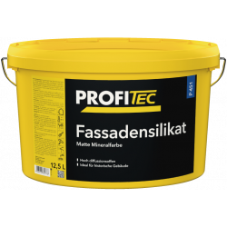 PROFITEC P451 Silicate Façade base 2 - 12,5 L
